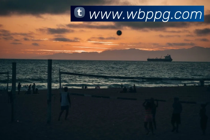 多媒体互动体验